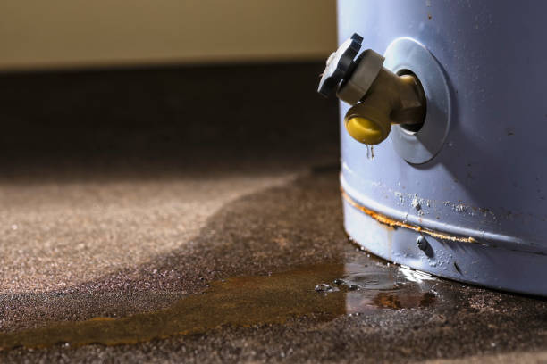 Best Water damage restoration mold remediation  in Nocatee, FL