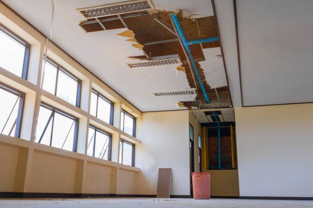 Best Water damage restoration near me  in Nocatee, FL