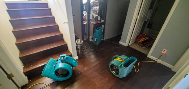 Best Flooded house restoration  in Nocatee, FL