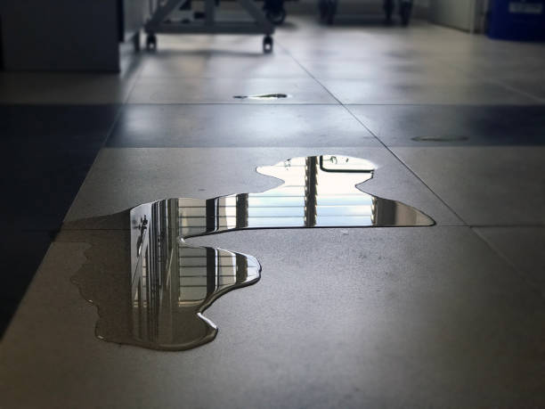 Best Carpet water damage restoration  in Nocatee, FL