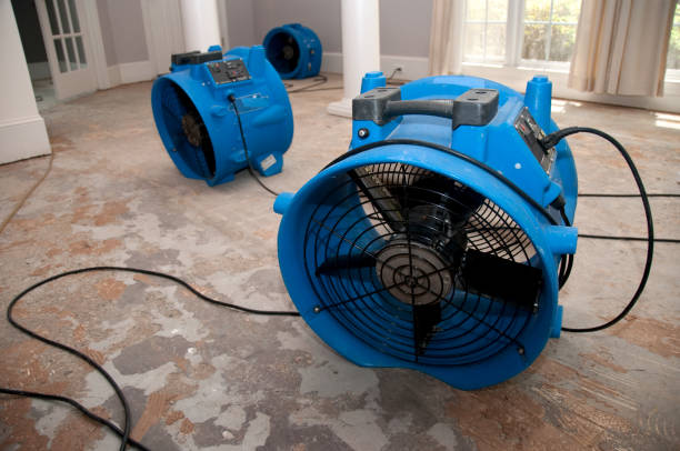 24/7 water damage repair in FL