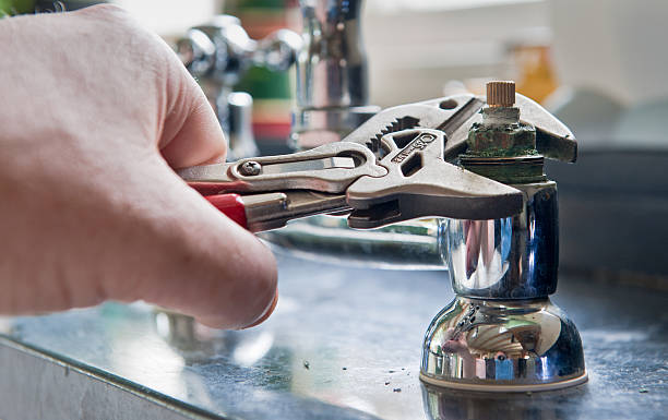 Best Ceiling water damage repair  in Nocatee, FL