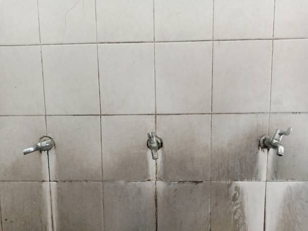 Best Commercial water damage restoration  in Nocatee, FL