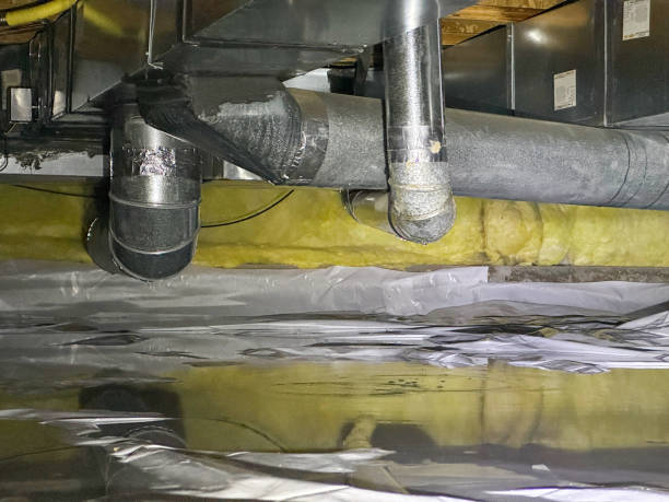 Best Water damage restoration near me  in Nocatee, FL