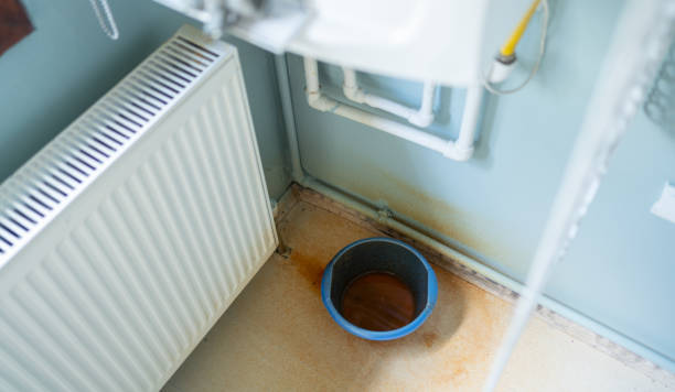 Best Water damage restoration company  in Nocatee, FL