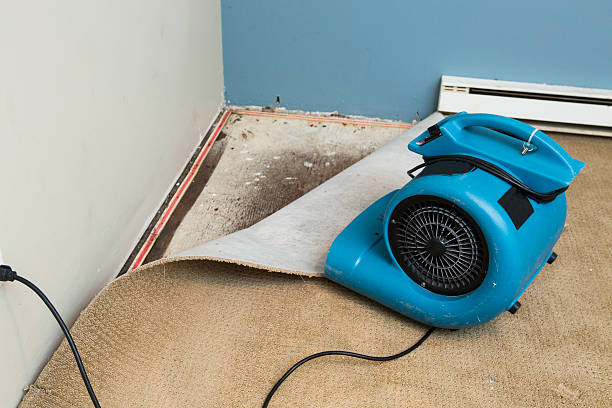 Best Residential water damage restoration  in Nocatee, FL